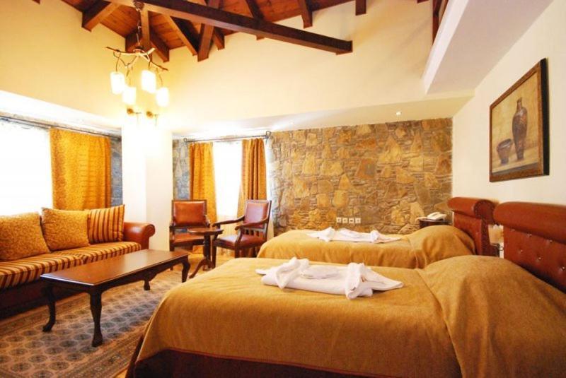 Vasilitsa Spa Resort Grevena Bilik gambar
