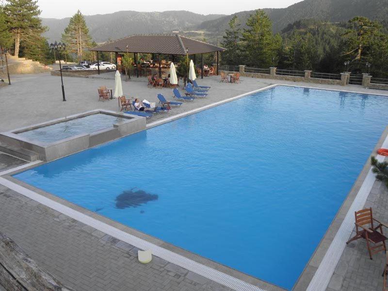 Vasilitsa Spa Resort Grevena Luaran gambar
